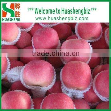 Chinese Fuji Apple/fresh Apple Fruit Specification/apple Price photo-3