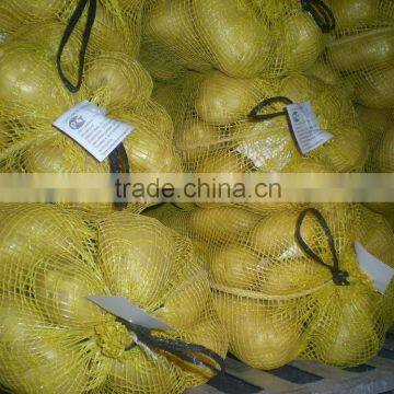 shandong fresh potato in yellow mesh bag