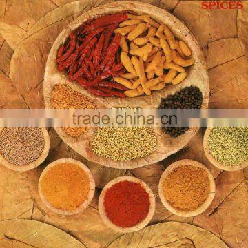 Indian fresh spices