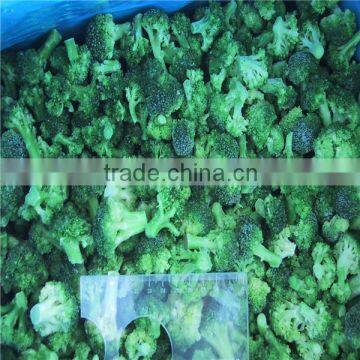 deep iqf frozen broccoli cut cuts vegetable in 10kg carton exporter supplier China