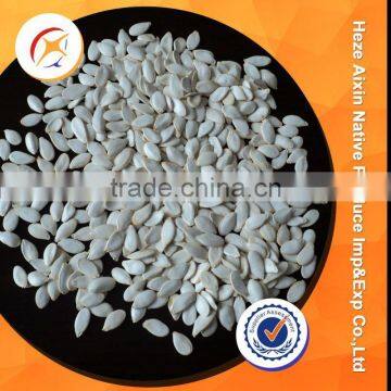 Treated White Pumpkin Seeds