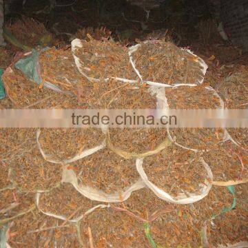 Split Cassia new crop