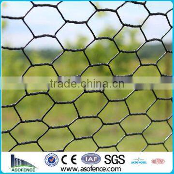 Vinyl Coated Hex Netting (Anping A.S.O Factory)