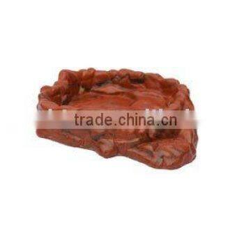 Reptile Dish