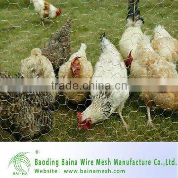 Fabric Chicken Coop Cages Wire Mesh Made in China