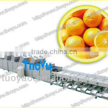 THOYU brand Orange Grading Machine(skype:serathoyu)