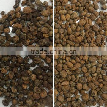 Automatic Ccd Color Sorter for Cashew Nut/apricot Kernels/walnut photo-5