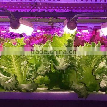 waterproof 30w light vertical physical therapy equipment lamp for aquaponics growing system