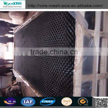 Express China Galvanized Crimped Wire Mesh Water Filter photo-3