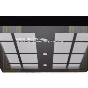 Best Sell Elevator for Home Used photo-4