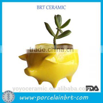 Various Kinds Lovely Fancy Animal Clay Pots photo-4