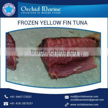 Top Branded Quality Frozen Shelf Life Yellowfin Tuna at Lowest Price