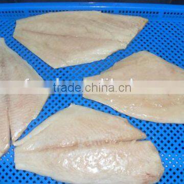 Frozen Brama Fillet,Skinless &PBO & 20%Glazing photo-2