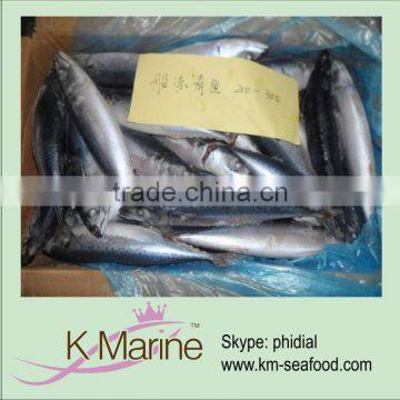 Sea frozen mackerel whole round