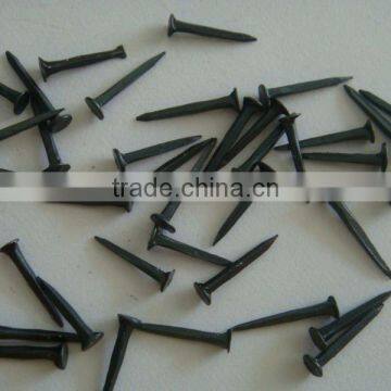 Blue Tack Shoe Nail photo-5