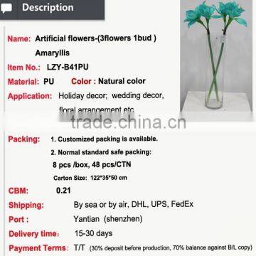 Cheap Wholesale Large Amaryllis for Halloween Arrangement photo-2