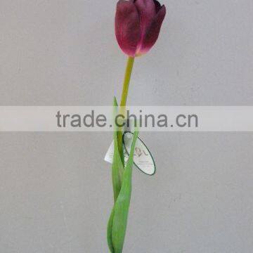 decoration flower tulip