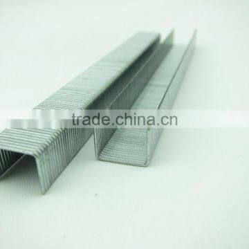 21GA 8006 Galvanized Staple photo-2