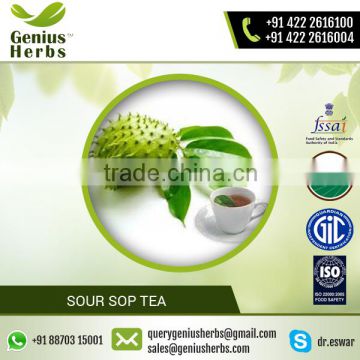 Top Selling High Grade Sour Sop Tea from Best Herbal Supplier