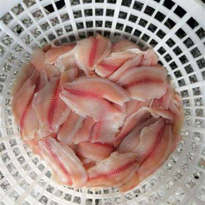 Frozen Tilapia Fillet photo-2