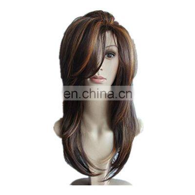 Long Side Bang Layered Natural Straight Colormix Lacefront Wig Synthetic Lace Frontal Wig Synthetic