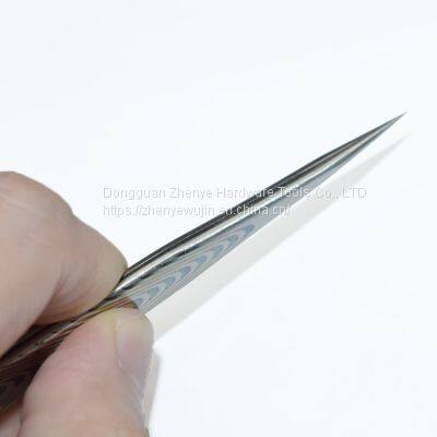 Tweezers Clip Ear Wax Repair Stainless Steel Sharp Elbow Tweezers Hair Removal Enhancement Bird's Nest Hair Picking Tool Set ST-10