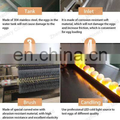 Eggs Brush Washer Sorting Sterilization Oiling Machine Automatic Egg Washing Machine photo-3