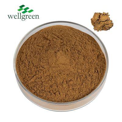 Ligusticum Wallichii Ectract Rhizoma Chuanxiong Extract 10: 1 Ligusticum Chuanxiong Extract