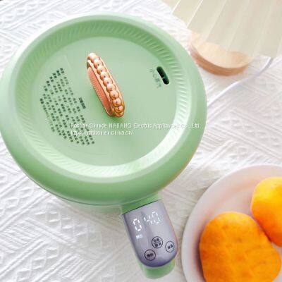 1.2 Litre Multi Functional Automatic Rice Cooker With Porridge Congee Stew Noodles Hot Pot Keep Warm photo-4