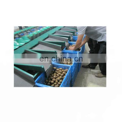 Fruit & Vegetable Sorting Machine