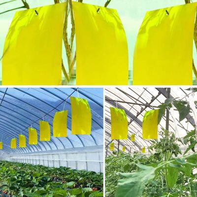 Зеленодольский клейкий роликовый ловушка photo-2