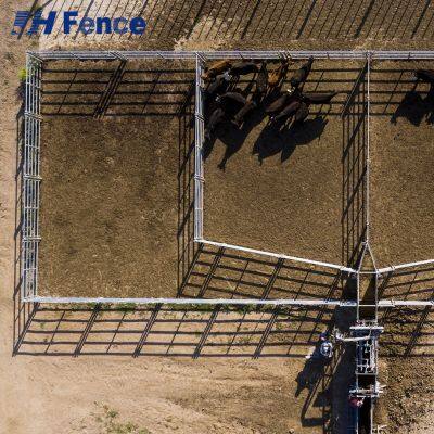 Pro-Grade Cattle Panels: Heavy-Duty Welded Construction Withstands Daily Livestock Pressure & Impact photo-2