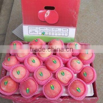 2014 Crop Chinese red fuji apple