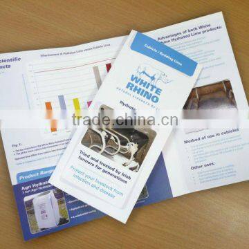 Folded advertising Flyer and Pamphlet Printing