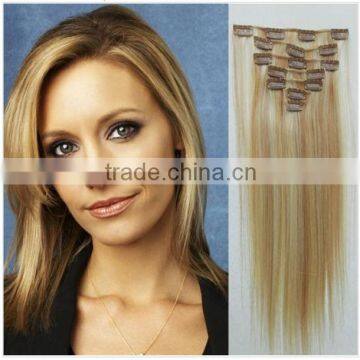 2013high quality & cheap virgin wholesale brazilian human hair clip in