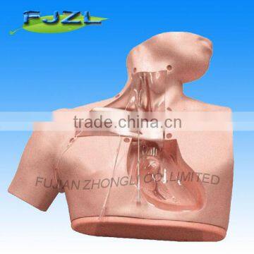 high quality medical Parenteral Alimentation Nursing Model