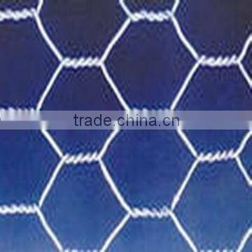 Galvanized Hexagonal Wire Mesh, PVC coated Hexagonal Wire Mesh