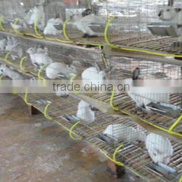 3 / 4 Tiers Commercial Rabbit Cage / Commodity Rabbit Cage photo-4