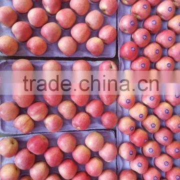 JINGCHUAN QINGUAN photo-2