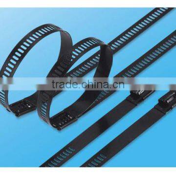 Epoxy coated Stainless Steel Ladder Cable Tie-Multi barb lock