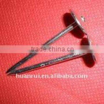 neoprene washer roofing screw4-3