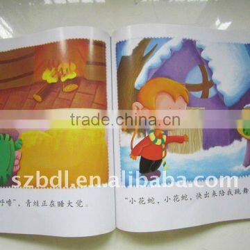 colorful brochure catalog printing