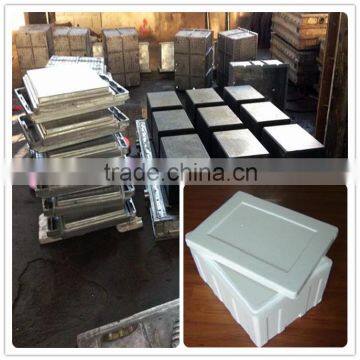 Longwell Hot sale High Quality EPS Mould Packaging Mould