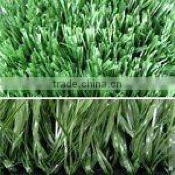 baseball grass