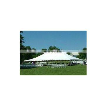 PVC tarpaulin (610g 1000*1000 20*20)