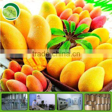 2013 new instant mango powder drink