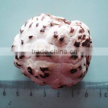 flower shiitake mushroom