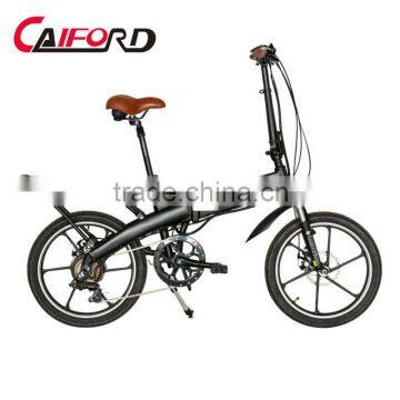 New beautiful rear carrier folding ebike