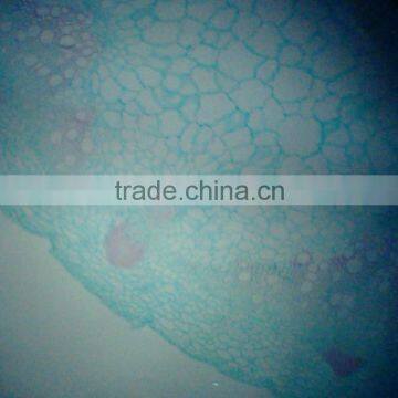 High Quality Export Indonesia Lab Using Microscope Prepared Slides photo-6