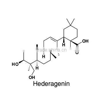 Ivy Leaf Ratio Extract 10:1